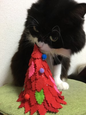 tmp_32279-image1349655527