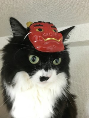 tmp_15416-20160203164532001178269463