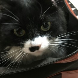 tmp_16871-2016020916544500-1118964626