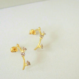 キュウリグサピアス高画質