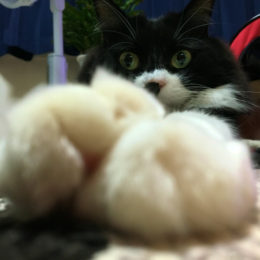 %e3%83%95%e3%82%a1%e3%82%a4%e3%83%ab_000-7