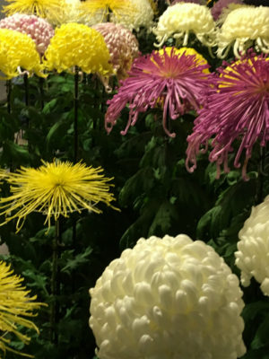 %e3%83%95%e3%82%a1%e3%82%a4%e3%83%ab_000-9