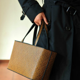 dsc_0149-%e3%81%ae%e3%82%b3%e3%83%94%e3%83%bc