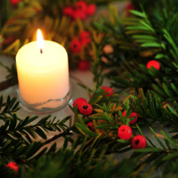 dsc_1023-%e3%81%ae%e3%82%b3%e3%83%94%e3%83%bc